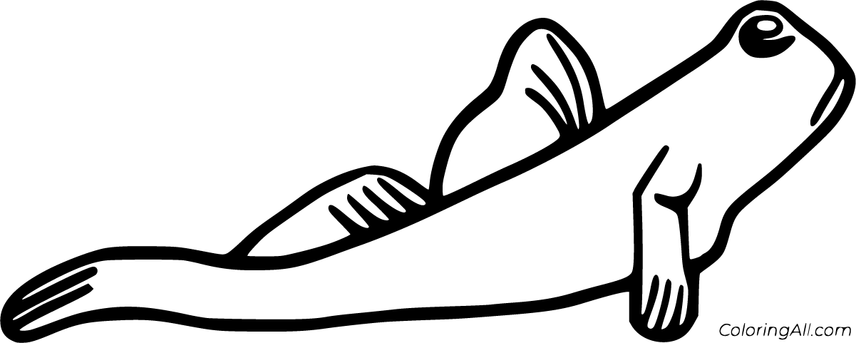 Free printable mudskipper coloring pages in vector format easy to print from any device and automatically fit any paâ coloring pages fish coloring page color