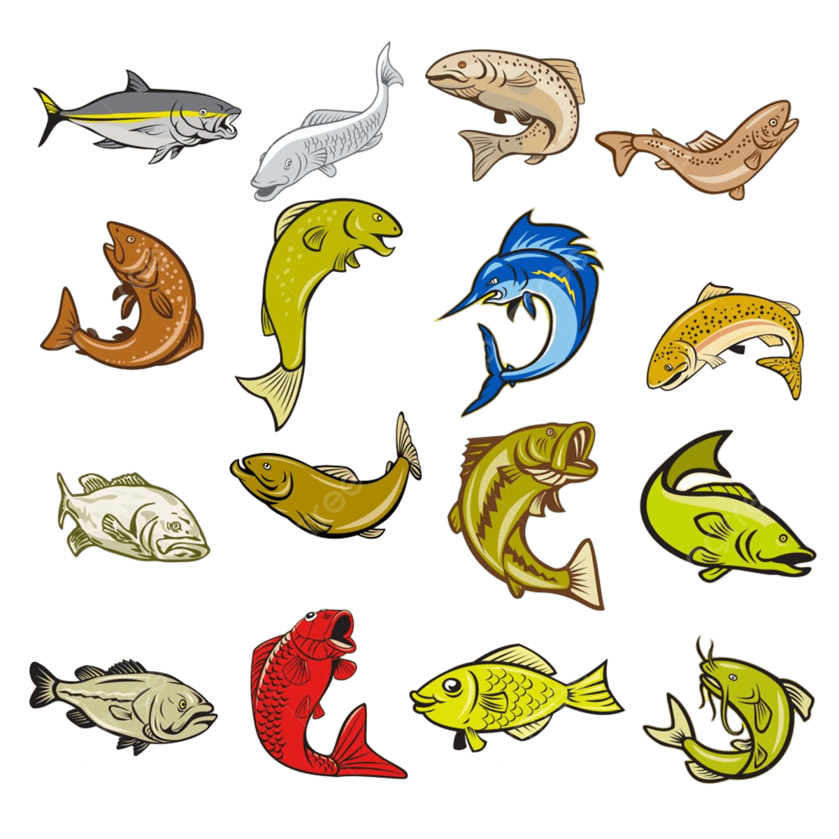 Catfish background png transparent images free download vector files