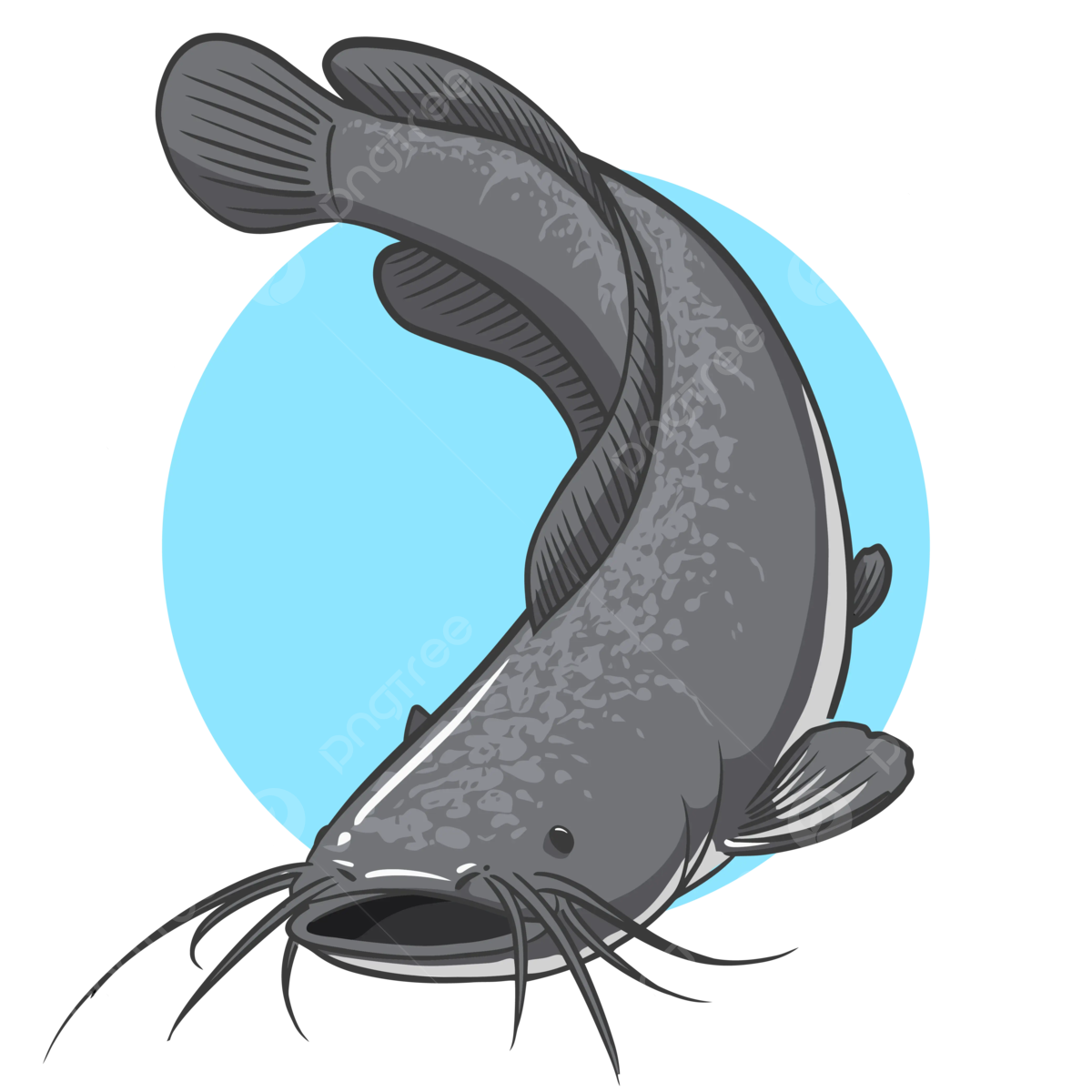 Catfish background png transparent images free download vector files