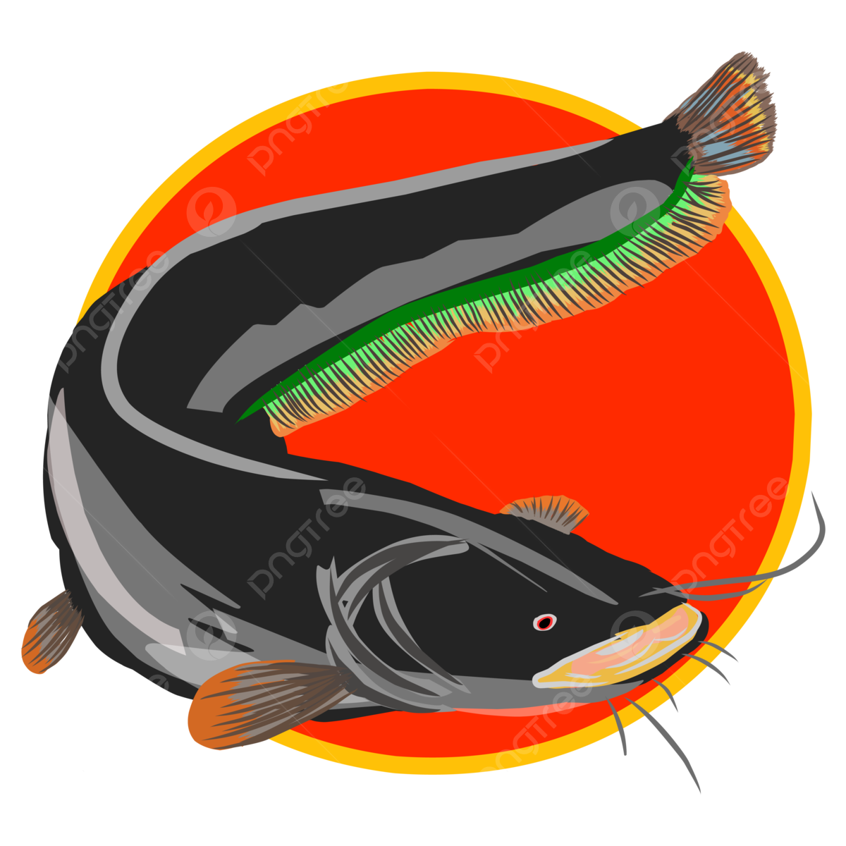 Catfish background png transparent images free download vector files