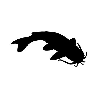 Page sea lamprey silhouette images
