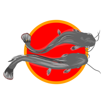 Catfish background png transparent images free download vector files