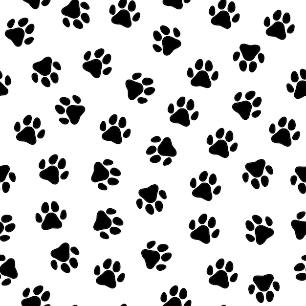 Cat print images