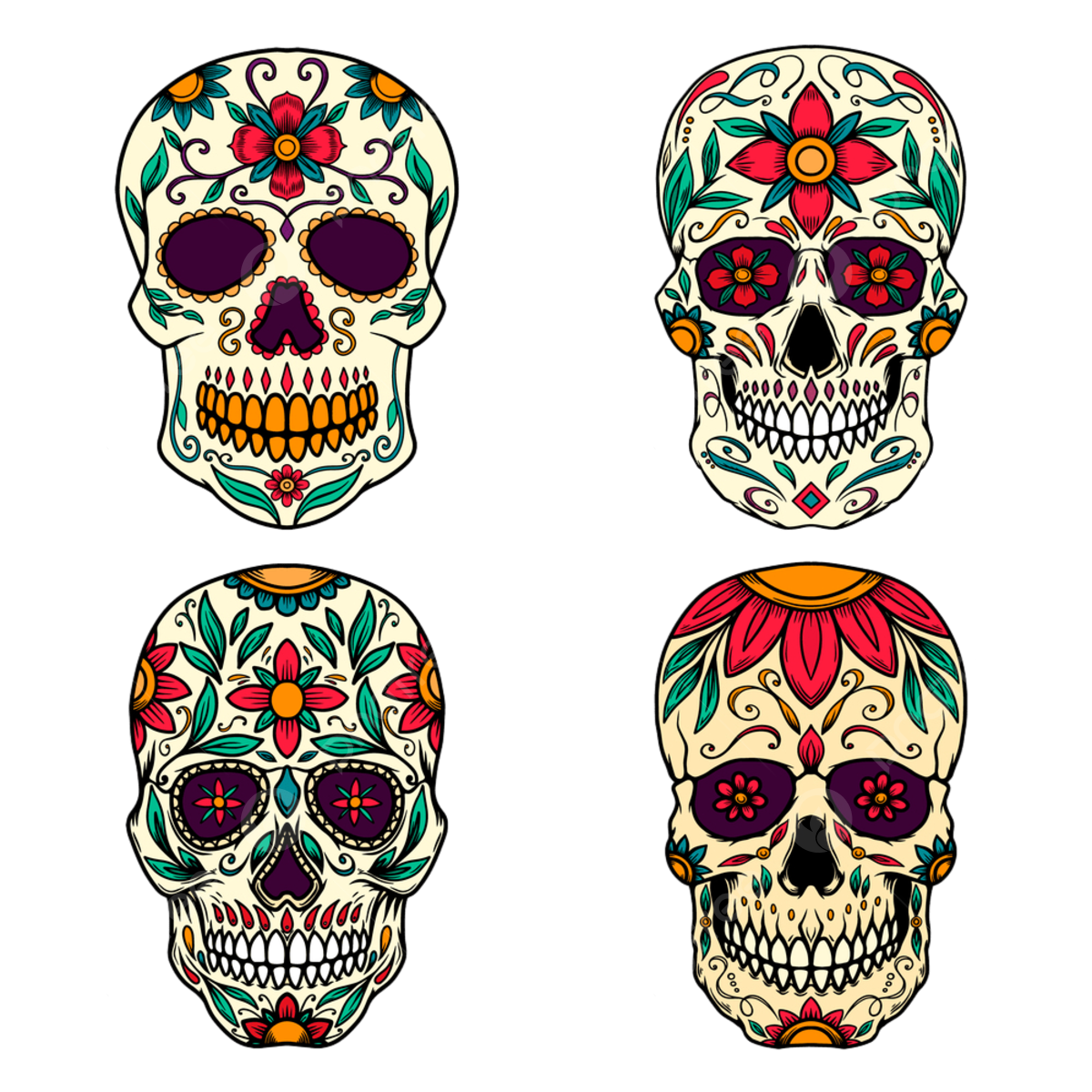 Sugar skull png vector psd and clipart with transparent background for free download