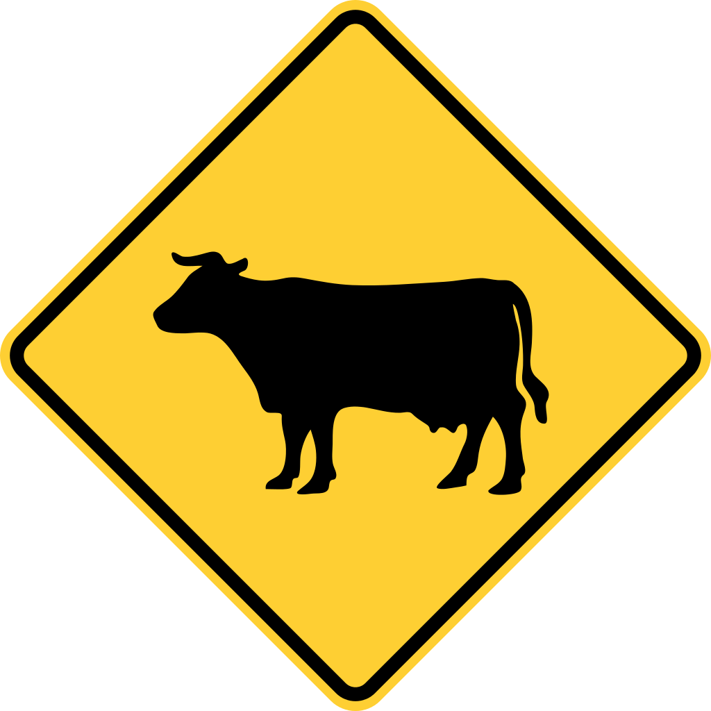 Filemutcd w