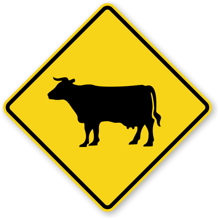 Cattle drive clipart