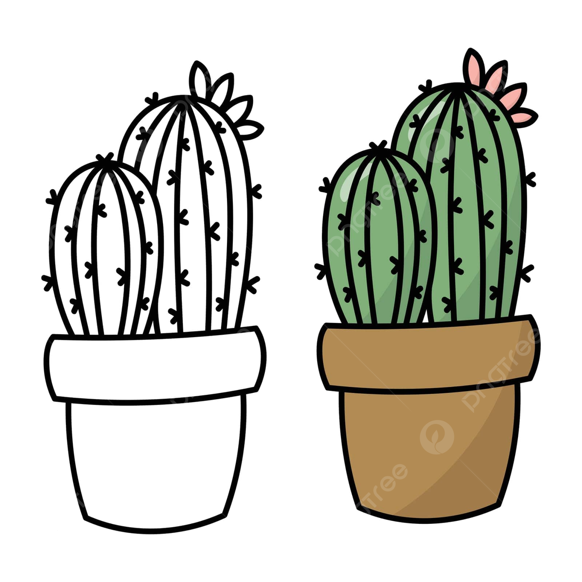 Cactus in a pot coloring page isolated illustration vector illustration symbol black png and vector with transparent background for free download
