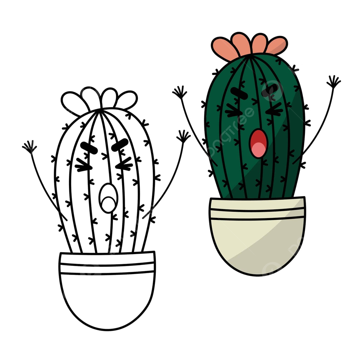 Cactus plants coloring page png transparent images free download vector files