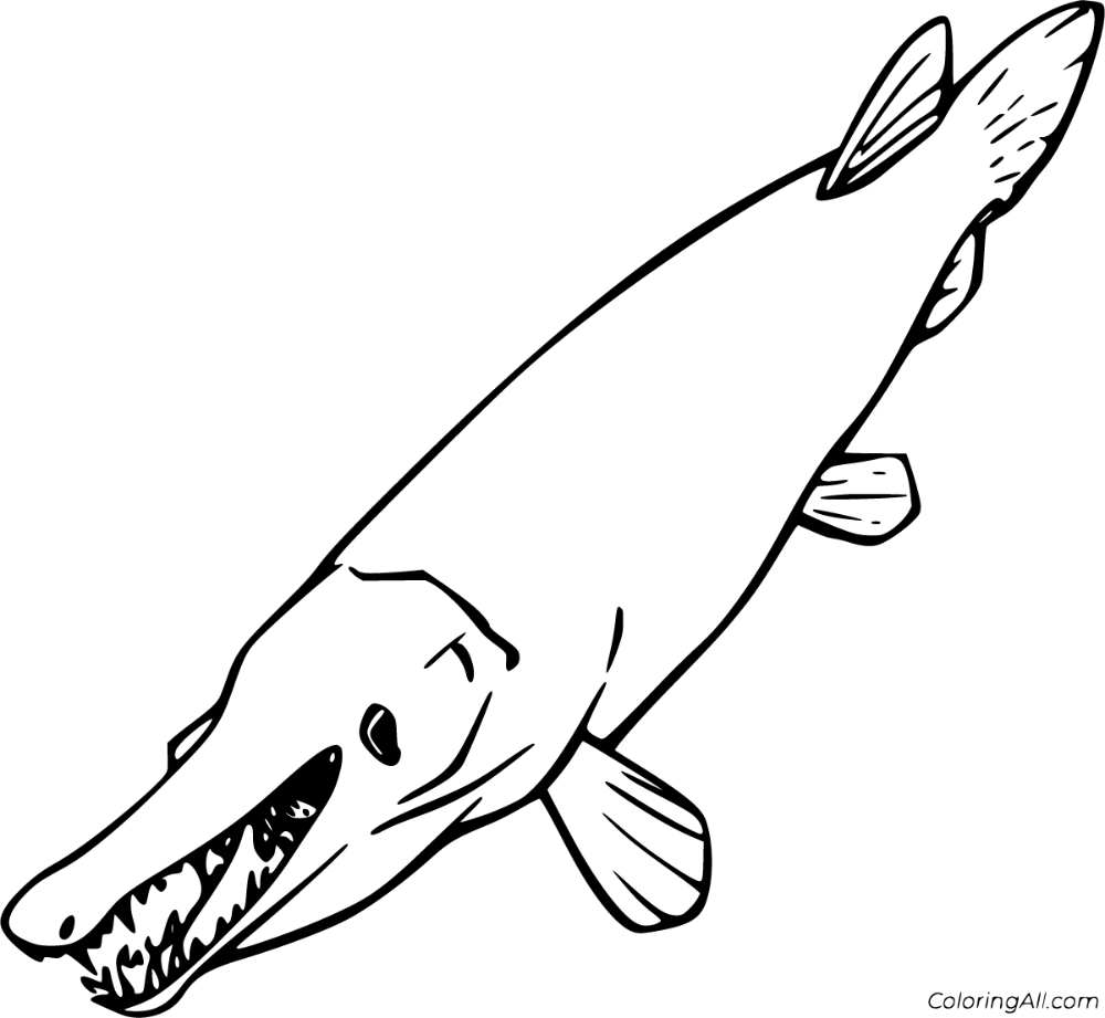 Free printable alligator gar coloring pages in vector format easy to print from any device and automatâ coloring pages coloring book pages fish coloring page