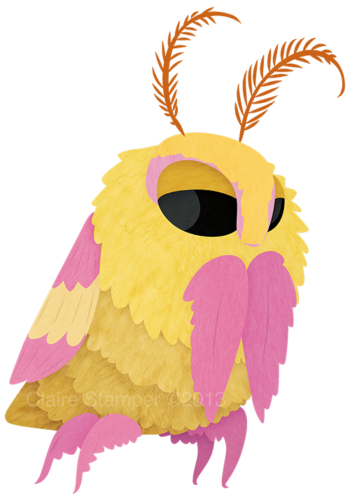 Rosy maple moth by claire stamper httpcjstamper