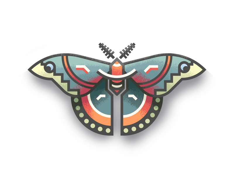 Cecropia moth revisit texture cecropia moth graphic art butterfly design
