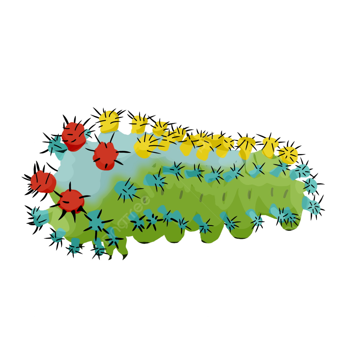 Cecropia png transparent images free download vector files