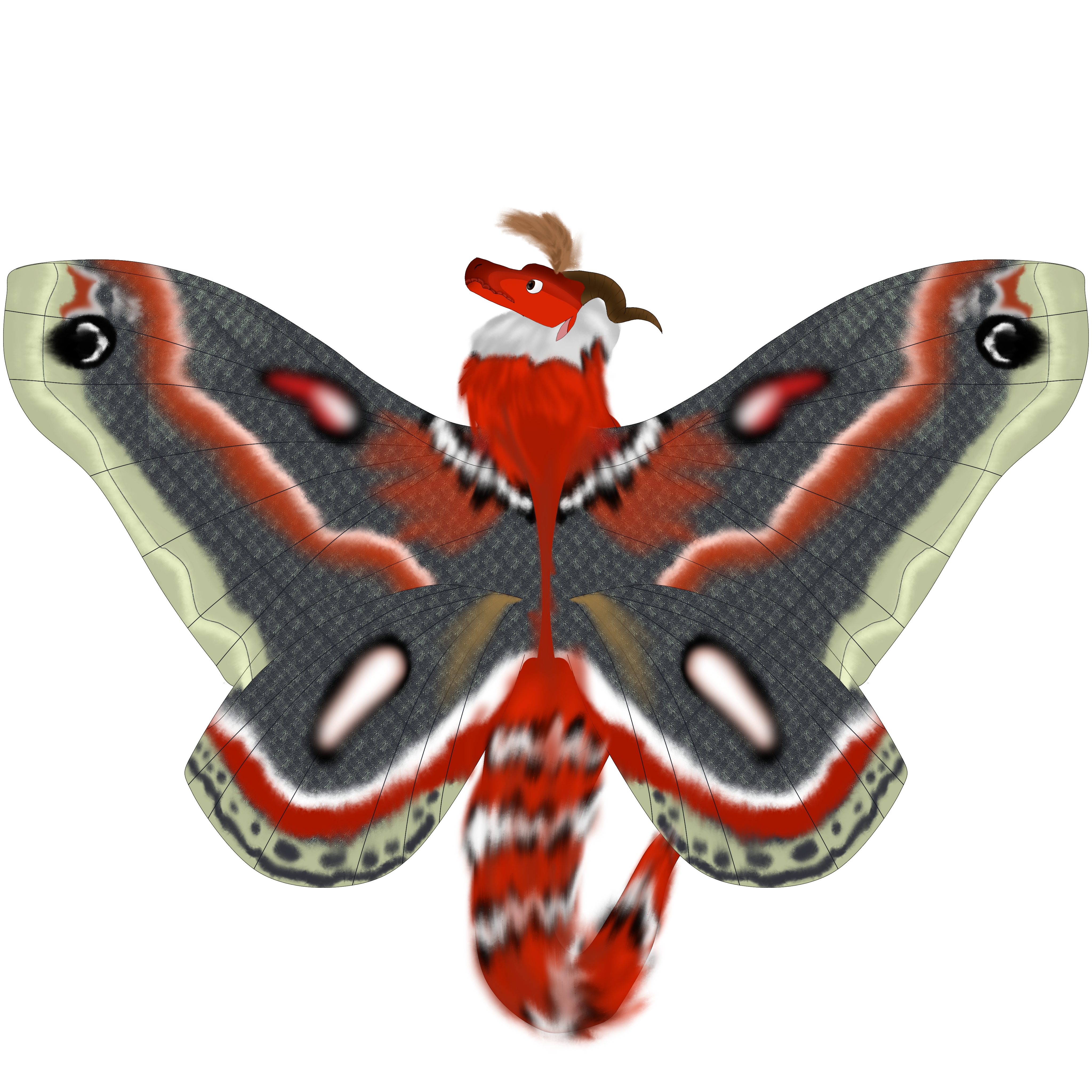 I drew a silkwing but i tried giving them a more plicated design than usual rwingsoffire