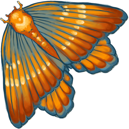 When anger surges through thy heart â cecropia moth by leebradford