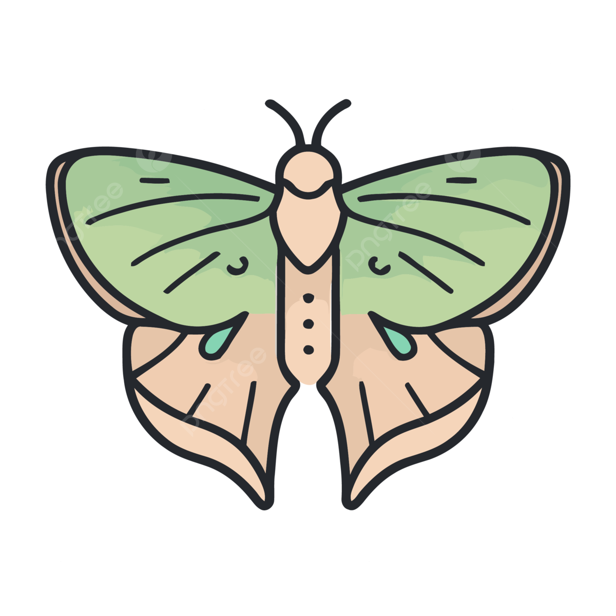Luna moth cecropia moth caterpillar png transparent images free download vector files
