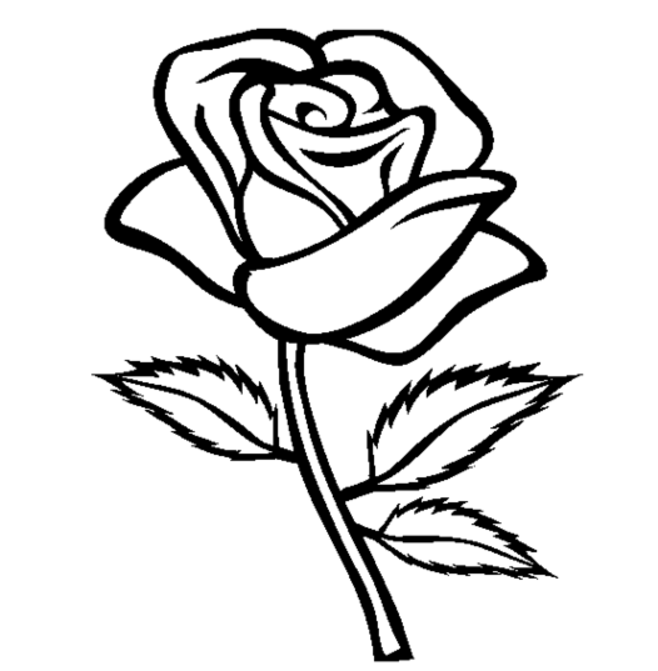 Coloring page roses nature â printable coloring pages