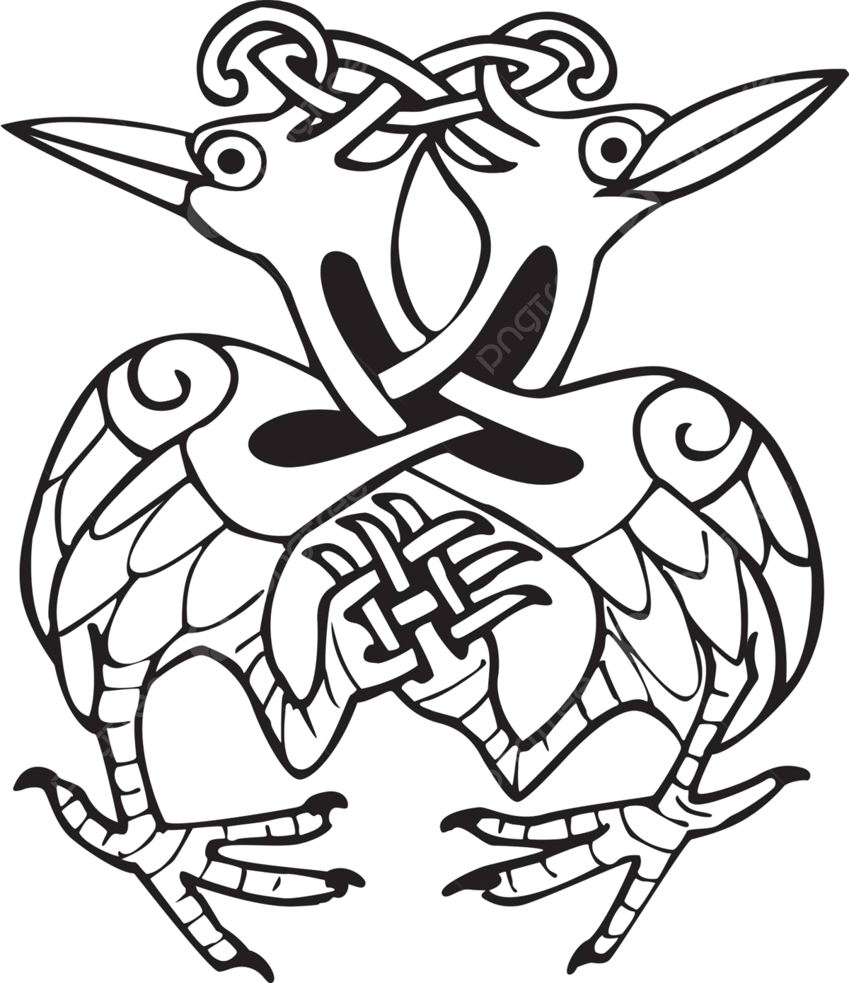 Celtic knotwork featuring two doves celtic bite feather vector celtic bite feather png and vector with transparent background for free download