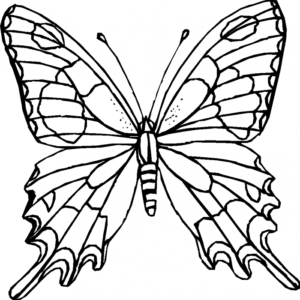 Butterfly coloring pages printable for free download
