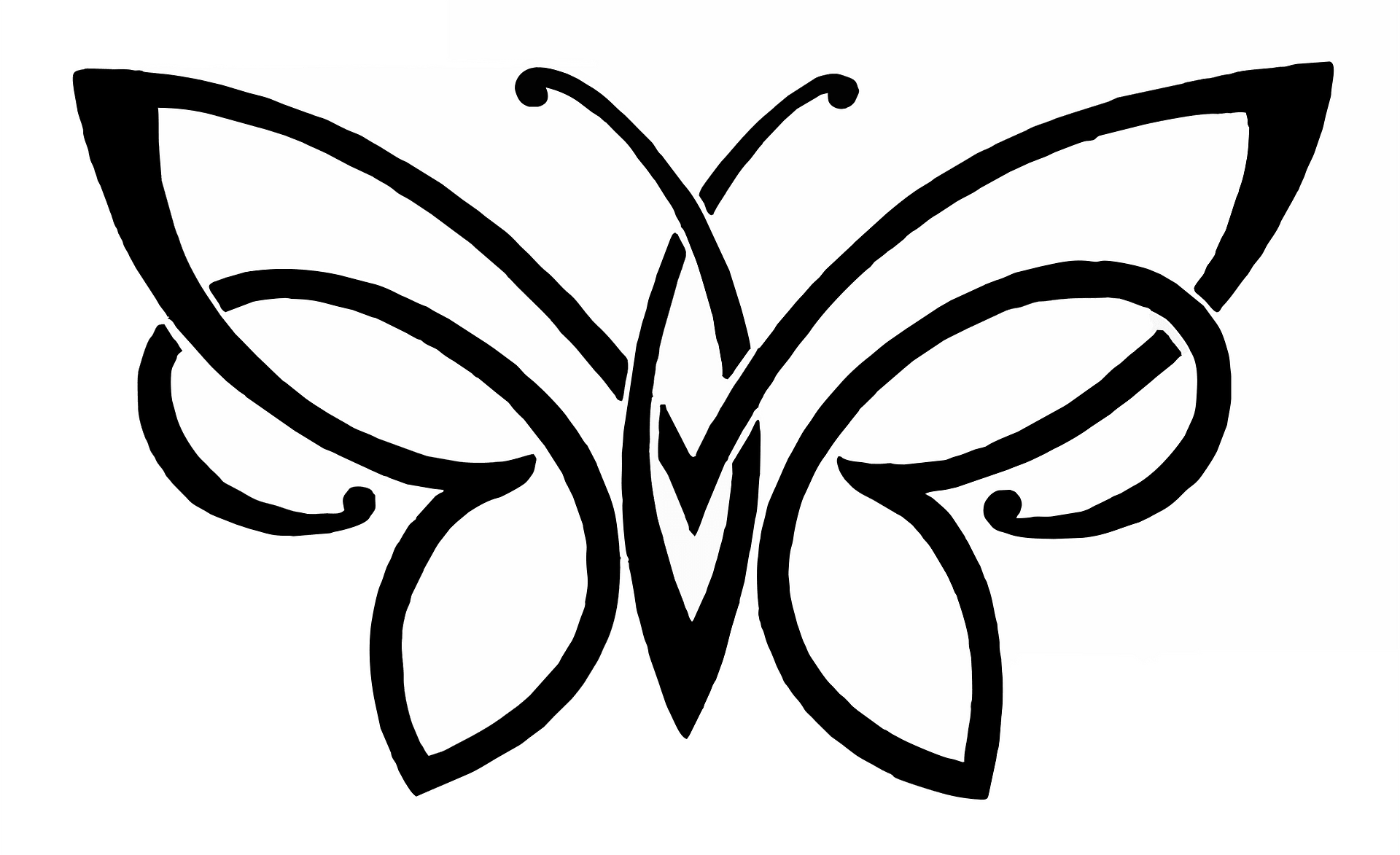Butterfly clipart free download transparent png