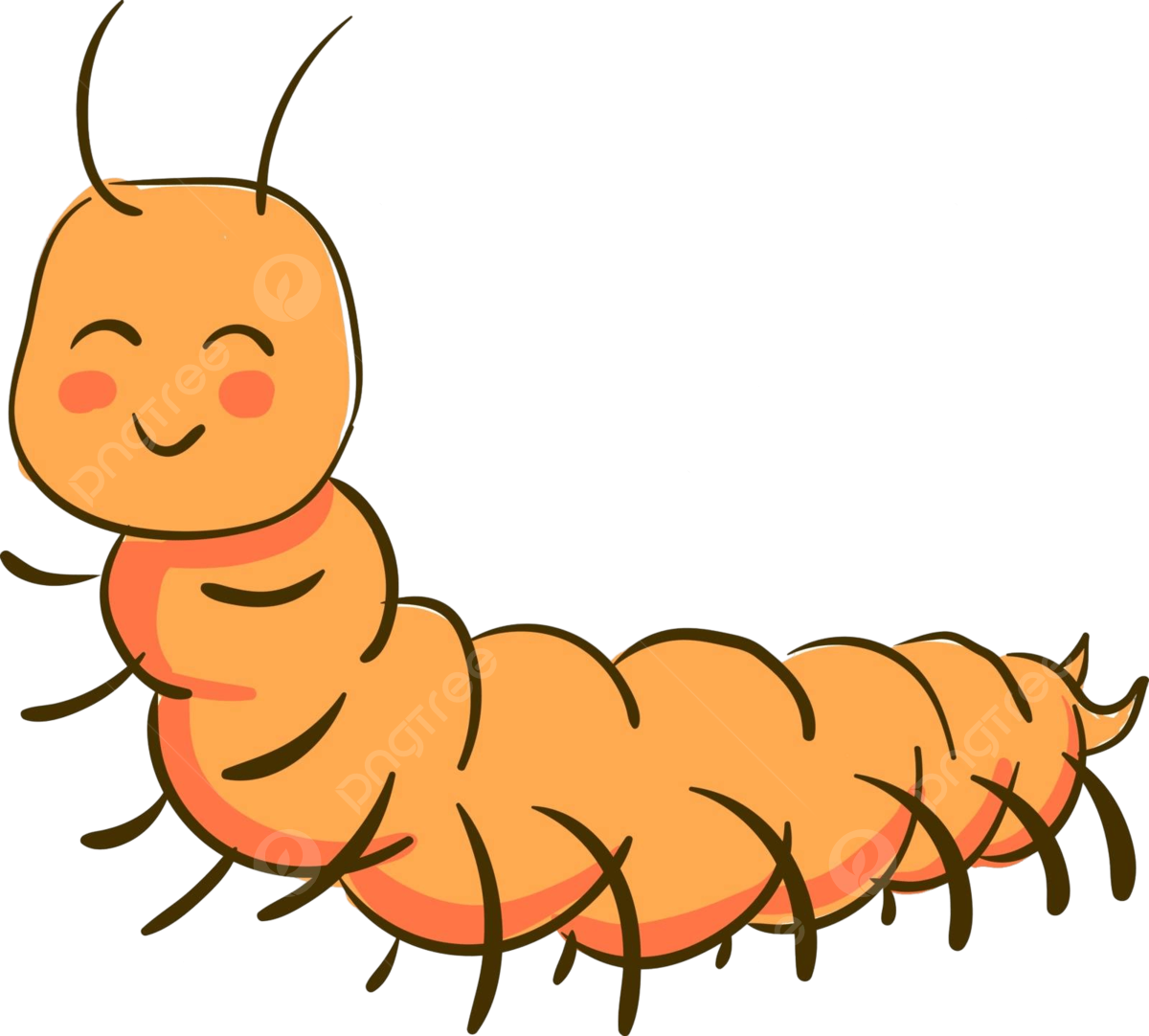 Illustration of a joyful centipede in orange color depicted as a vector on a white background vector drawing orange caterpillar png and vector with transparent background for free download