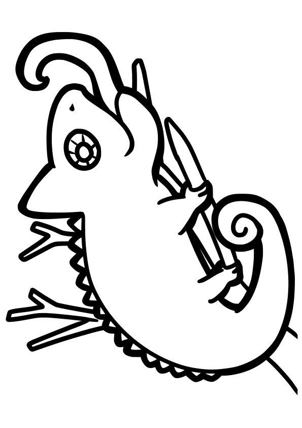 Chameleon drawing for coloring page free printable nurieworld