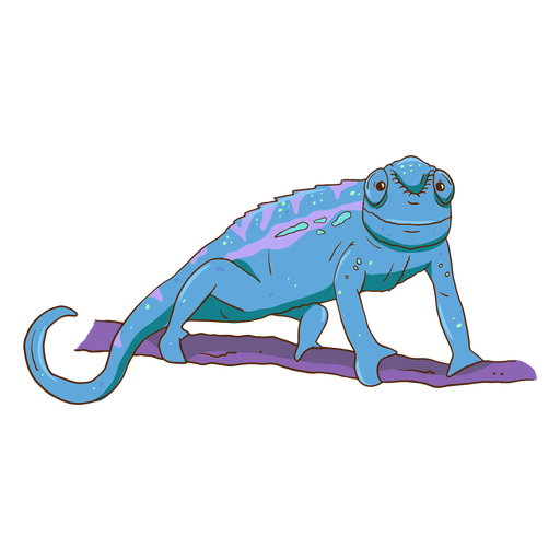 Light blue chameleon color stroke png svg design for t