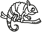 Chameleon coloring pages free coloring pages