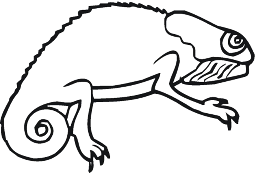 Lizard template