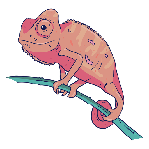 Pink chameleon color stroke png svg design for t