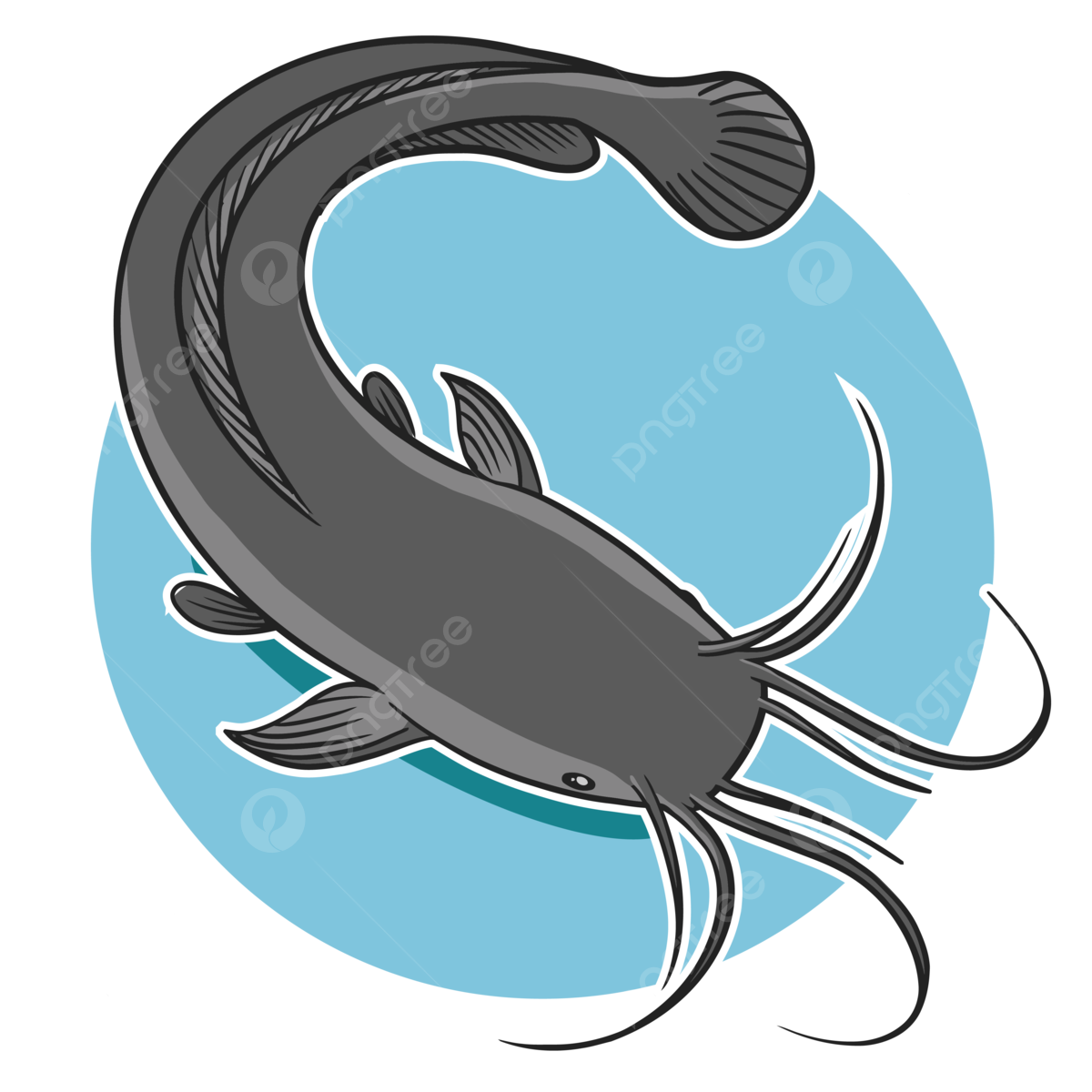 Catfish clipart images free download png transparent background