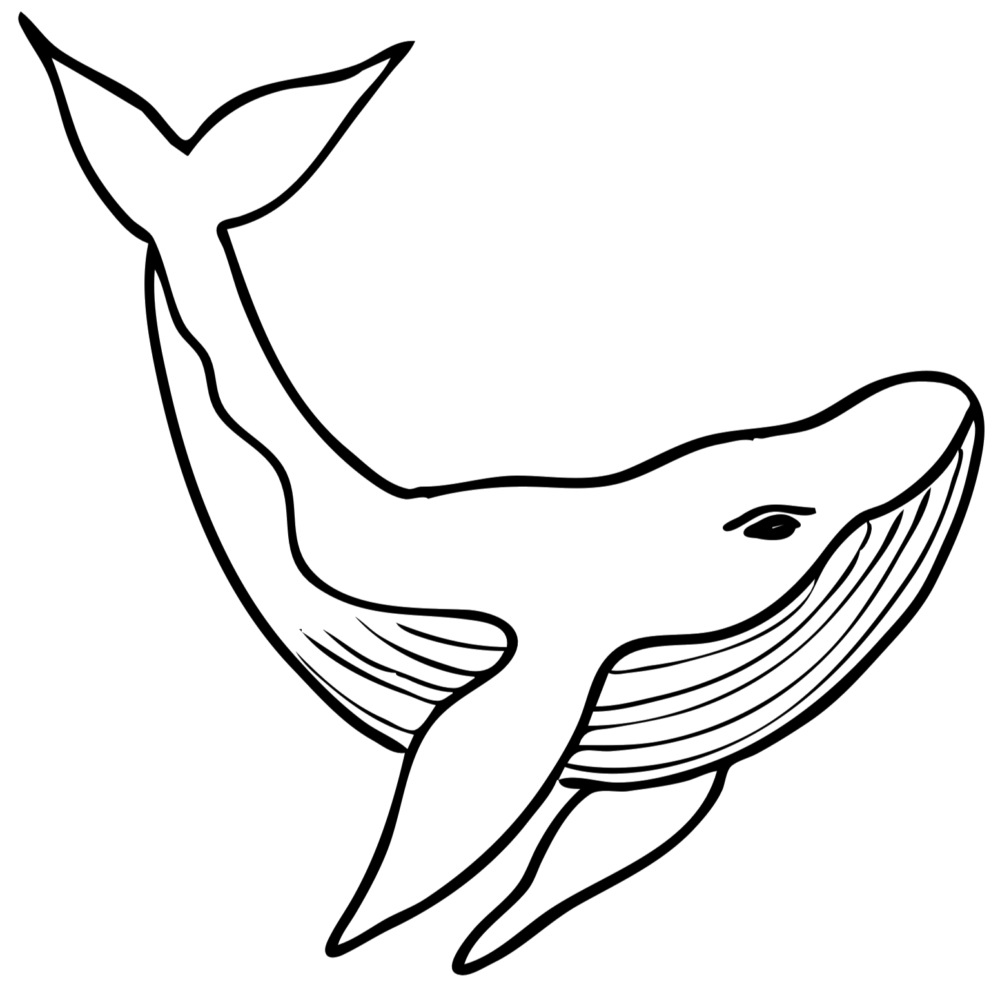 How to paint a blue whale