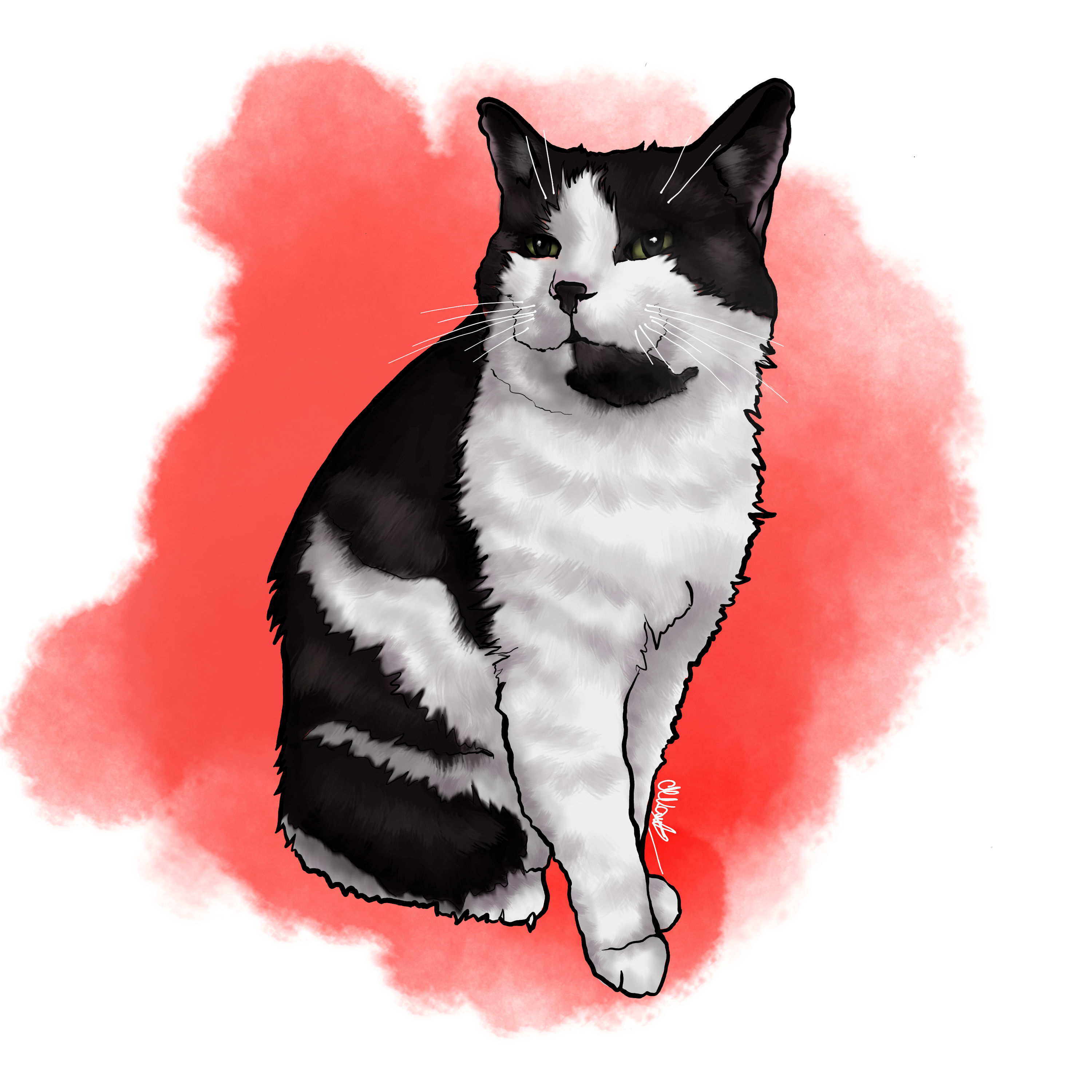 Krita for beginners create easy cat illustration using krita rena