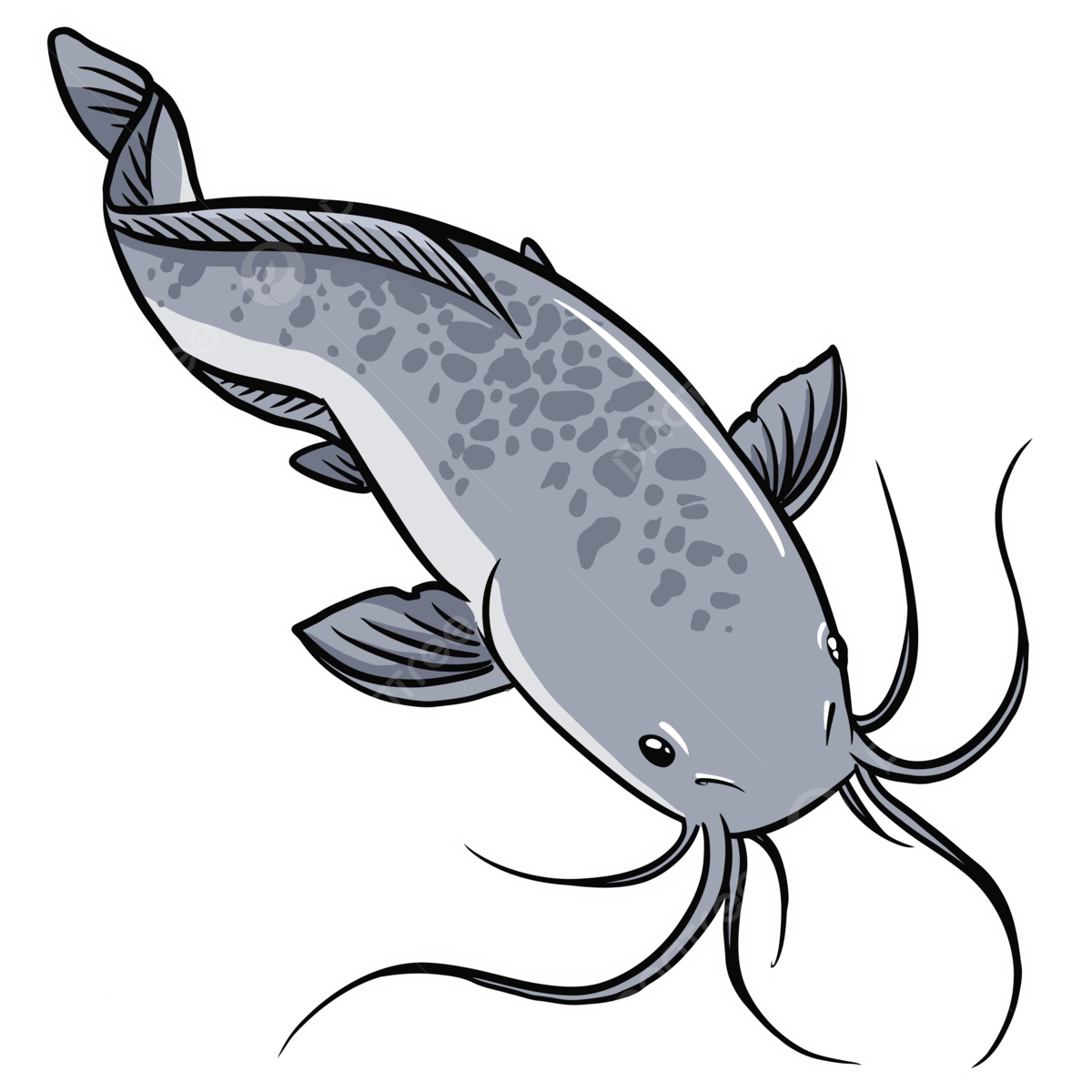 Catfish png transparent images free download vector files