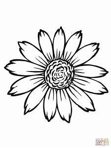 Outlines of flowers and leaves free printable