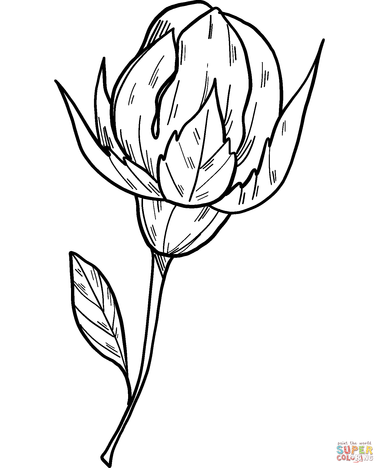 Roses coloring pages