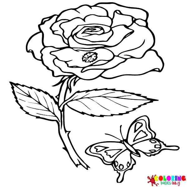Rose coloring pages