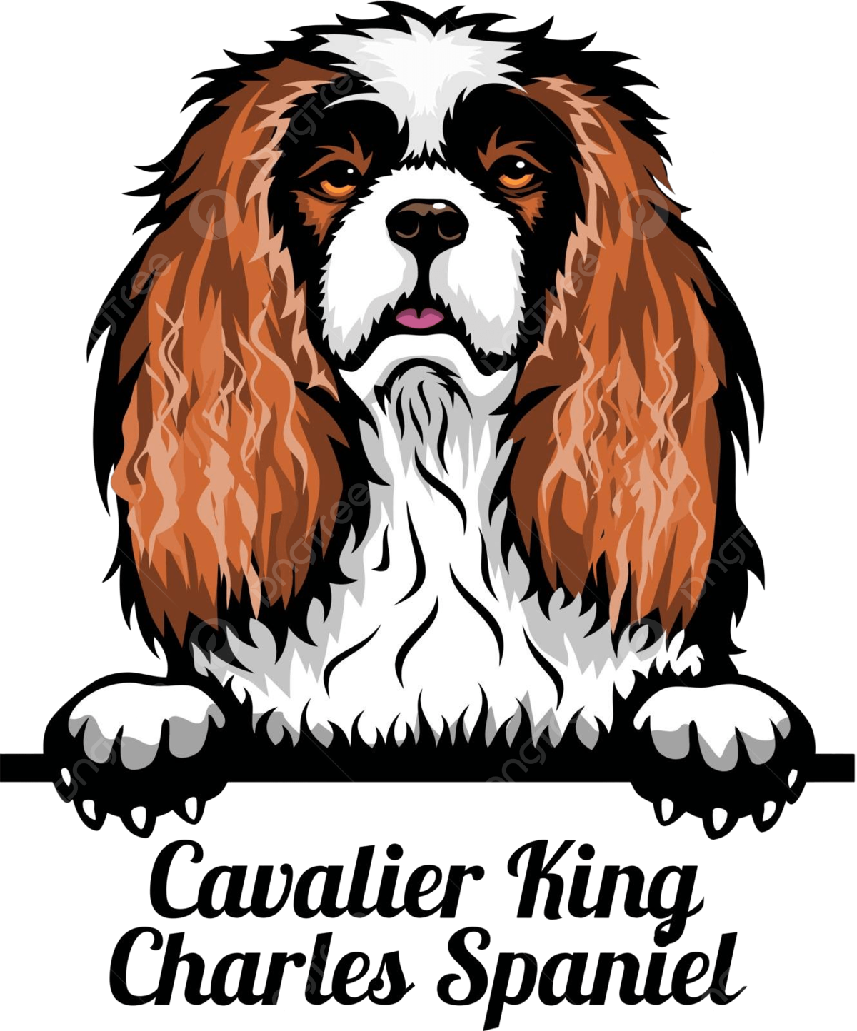 King charles vector art png images free download on