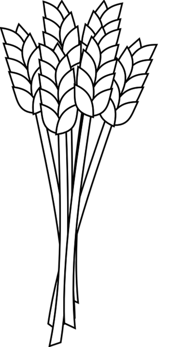 Thanksgiving and halloween coloring and activity pages