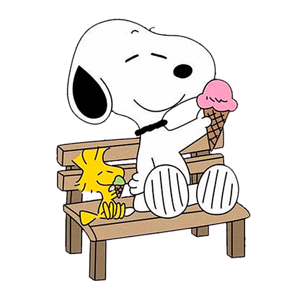 Snoopy woodstock spiral notebook by cynthia t thomas
