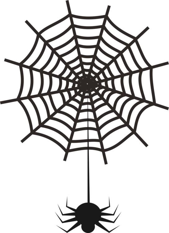 Line artspider websymmetry