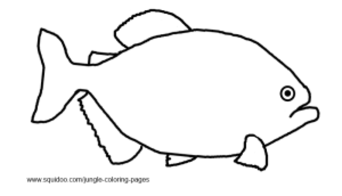 Jungle coloring pages