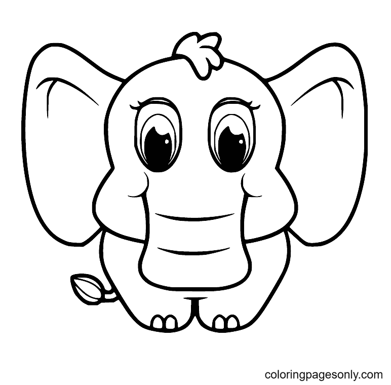 Elephant coloring pages