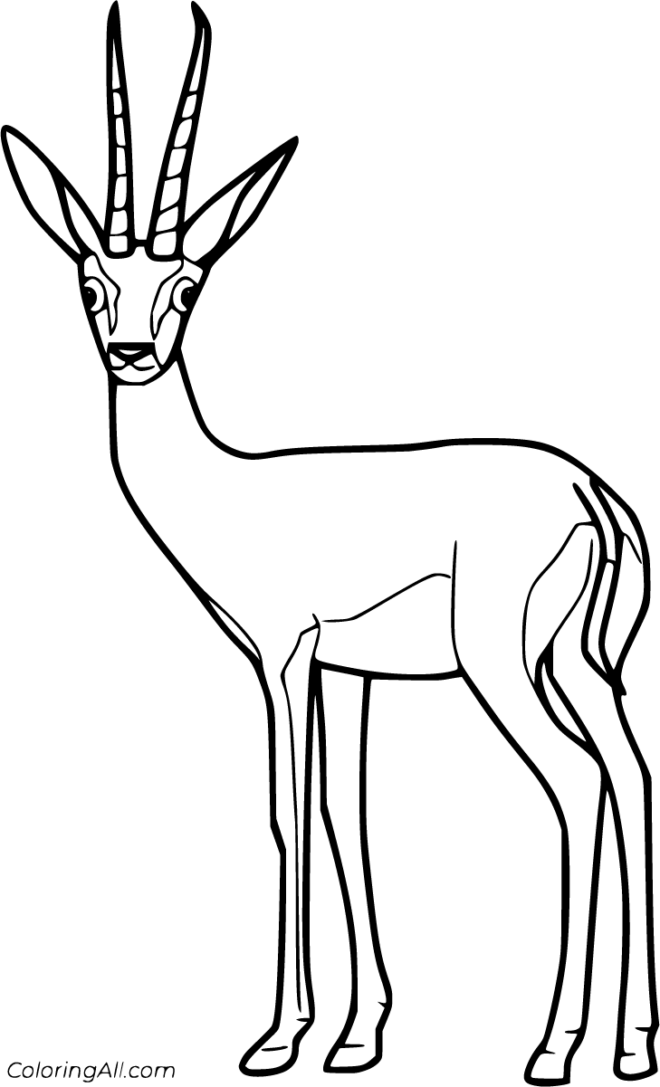 Free printable gazelle coloring pages in vector format easy to print from any device and automatically fit any paâ coloring pages owl coloring pages gazelle