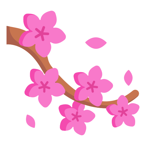 Cherry blossom