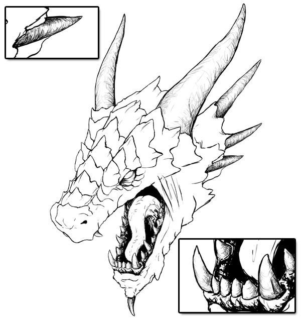 Views dragon head drawing dragon drawing realistic dragon