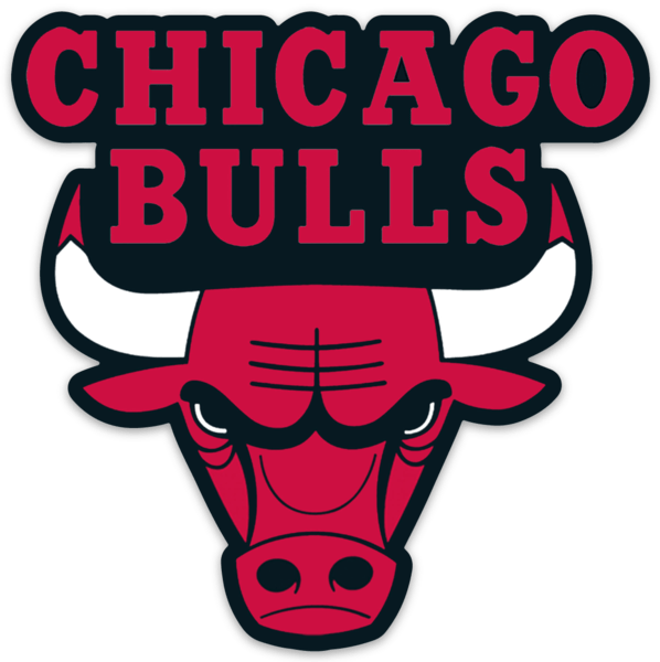 Chicago bulls logo type die
