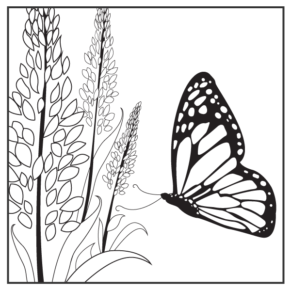 Coloring pages chicago botanic garden