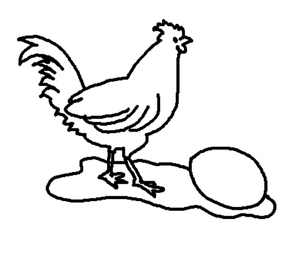 Rooster and chicken egg coloring pages