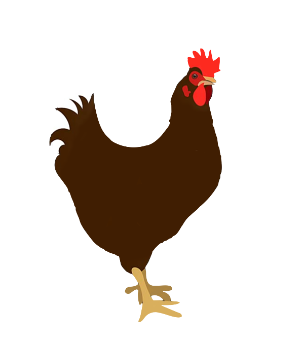 Funny chicken butt guess why chicken thigh guess who poo jigsaw puzzle by kimberly lotte