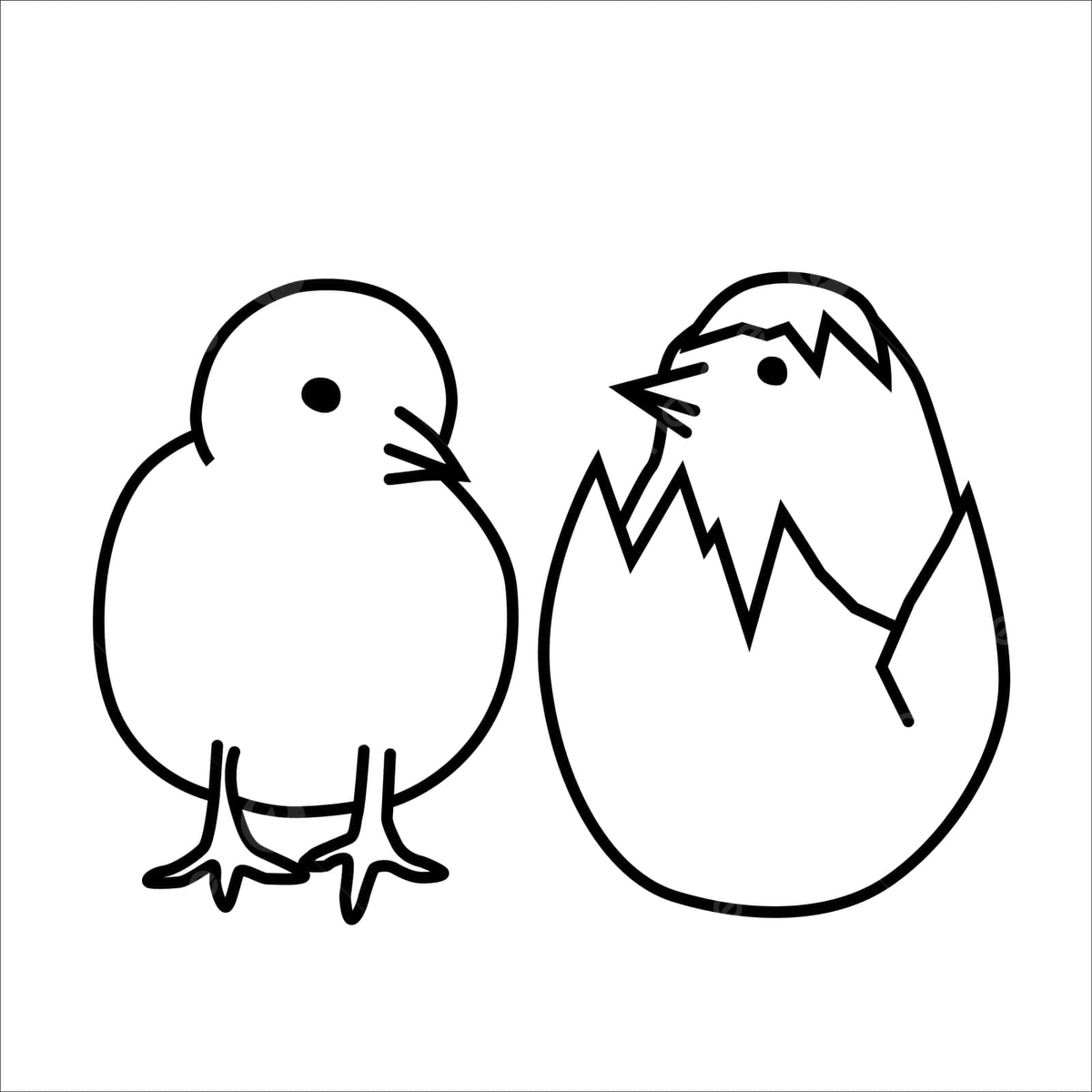 Cute chick sketch png transparent images free download vector files